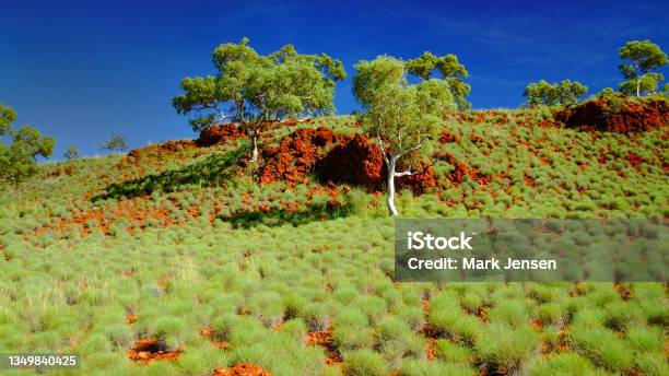 Outback Climate Australian Outback Landscapes Stock Photo - Download Image Now - Arid ...