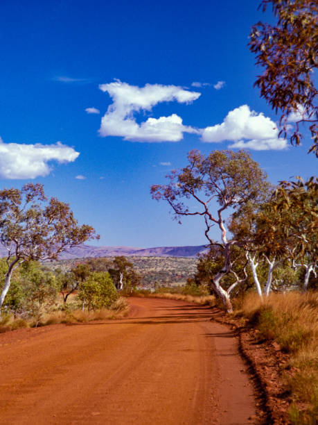 Australian Outback Landscapes The Australian outback is renowned for its vast size and arid desert landscapes, but these landscapes are also full of unexpected beauty with breathtaking colours and vistas, sometimes in the most unlikely locations scribbly gum stock pictures, royalty-free photos & images