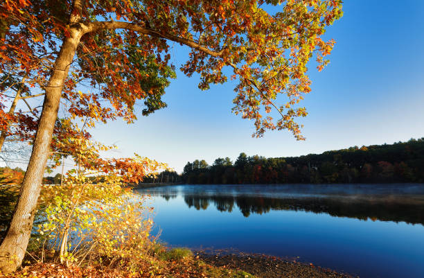 istock Beautiful New England Fall Foliage with reflections at sunrise, Boston Massachusetts. 1349854935