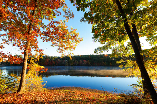 istock Beautiful New England Fall Foliage with reflections at sunrise, Boston Massachusetts. 1349854939