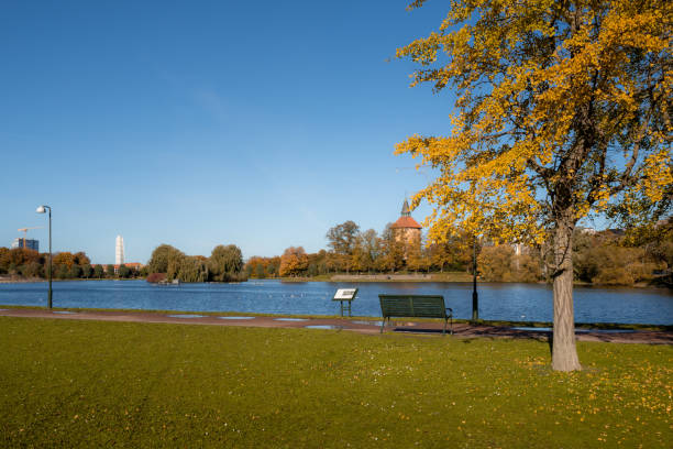 temps ensoleillé d’automne à pildammsparken. c’est le plus grand parc public avec un étang et des fontaines à malmö, en suède. - bench forest pond autumn photos et images de collection