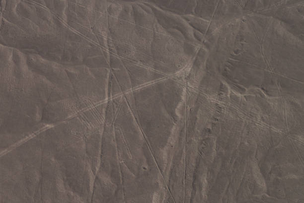 istock Nazca Lines, dog figure visible 1349870190