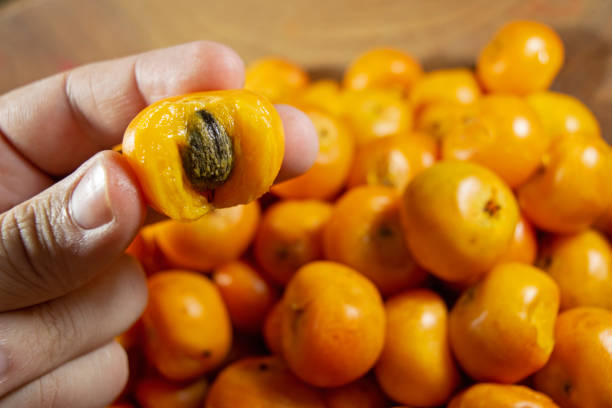 istock Butia Capitata Fruits 1349871638