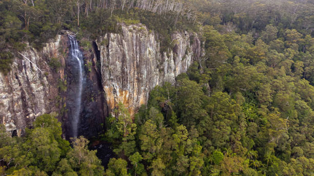 istock Rainbow Falls, Springbrook NP near Gold Coast, Australia 1349872994