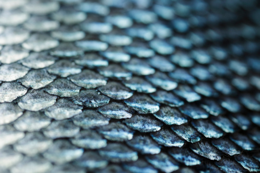 background of green snake skin, alligator, python, fashion luxury