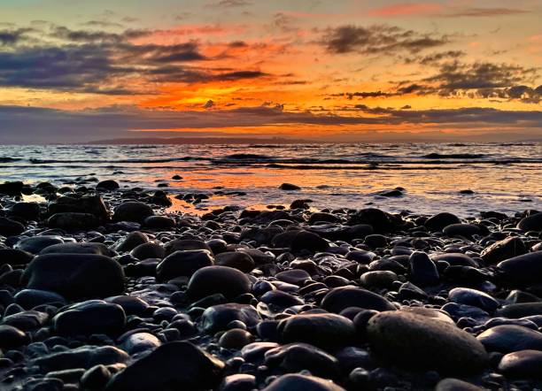 istock Low tide at Centennial Beach, Tsawwassen, Canada 1349874339