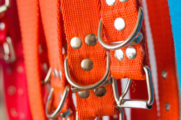 istock orange pet collars in a factory 1349882194