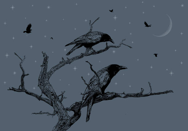 illustrations, cliparts, dessins animés et icônes de corbeaux perchés sur un arbre mort la nuit - mauvais présage