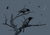 istock Crows perching on a dead tree at night 1349883787