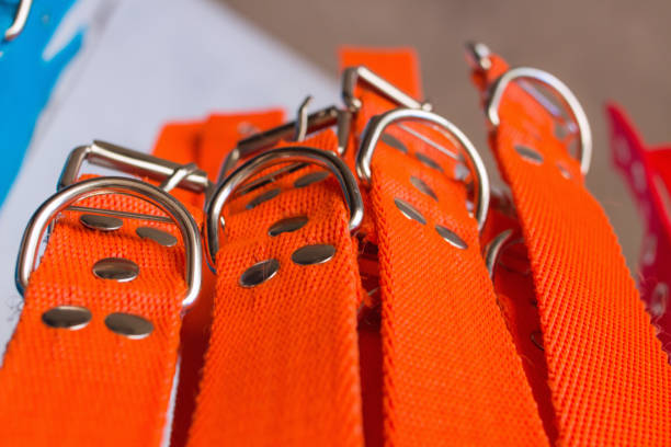 istock orange pet collars in a factory - top 1349890315