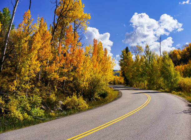 istock Autumn Mountain Curving Road Through Aspen Trees 1349891261