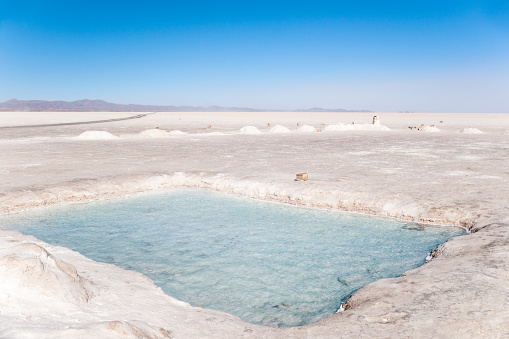 Water beneath the thin crust of salt, Salar de Uyuni, Bolivia, South America