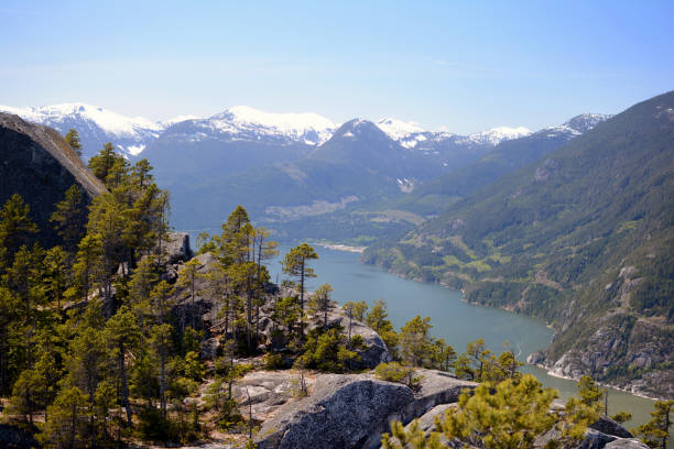 istock At the top of the Chief 1349898524
