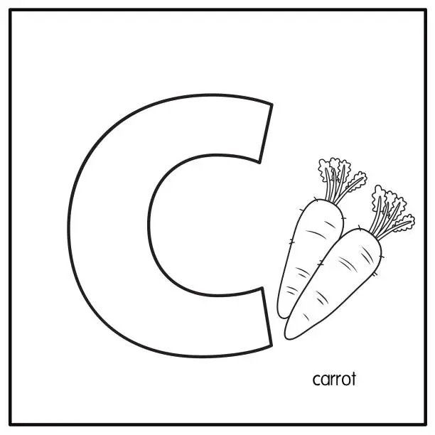 Vector illustration of Vector illustration of Carrot with alphabet letter C Lower case  for children learning practice ABC