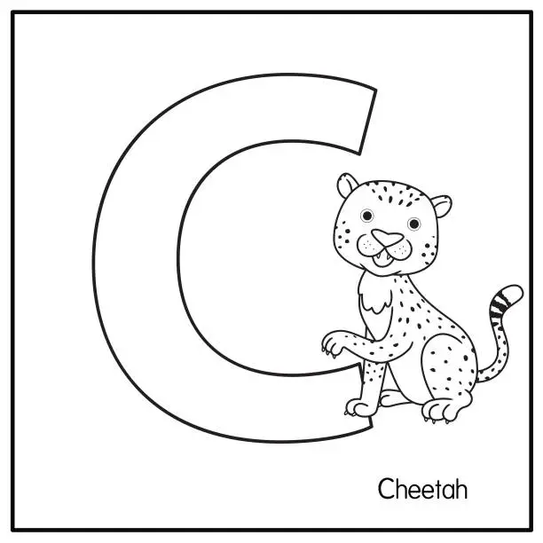 Vector illustration of Vector illustration of Cheetah with alphabet letter C Upper case or capital letter for children learning practice ABC