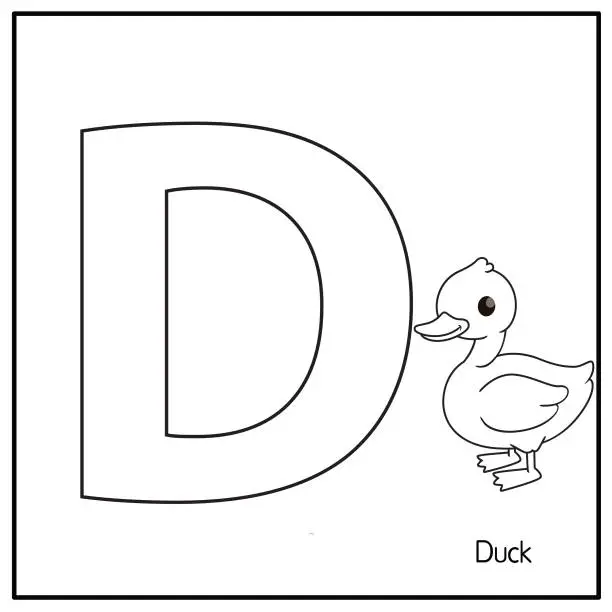 Vector illustration of Vector illustration of Duck with alphabet letter D Upper case or capital letter for children learning practice ABC