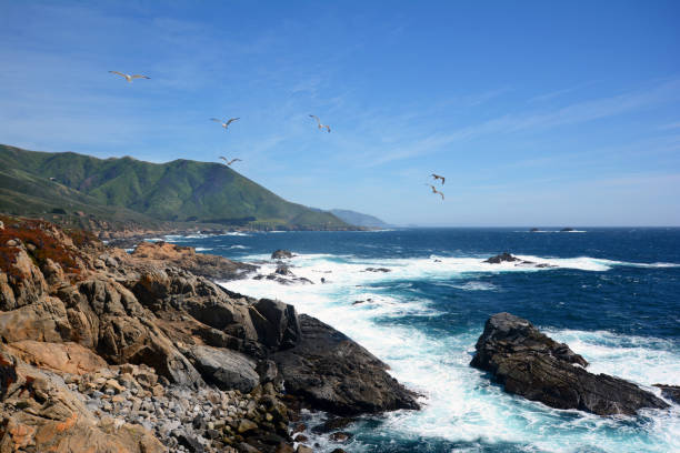 istock Coast of Big Sur 1349899592