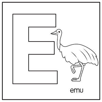 Vector illustration of Emu with alphabet letter E Upper case or capital letter for children learning practice ABC