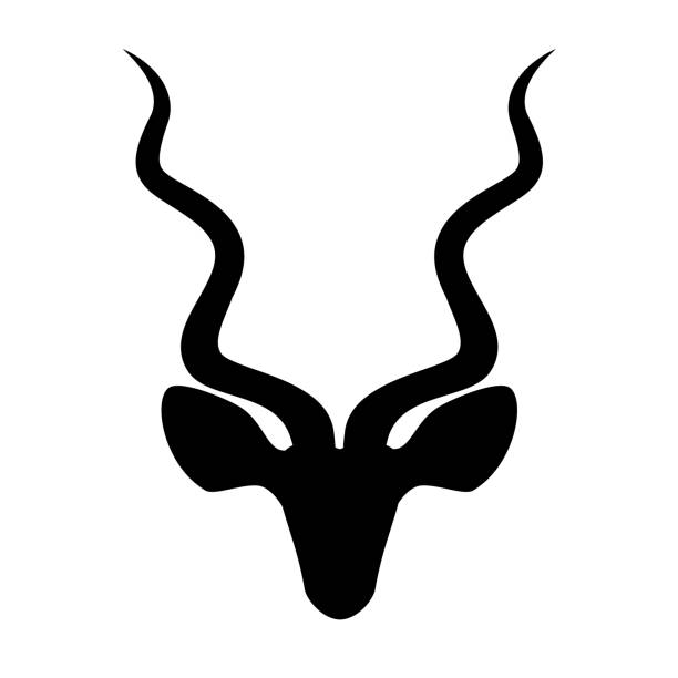 Kudu antelope head icon, vector illustration Kudu antelope head icon, vector illustration design kudu stock illustrations