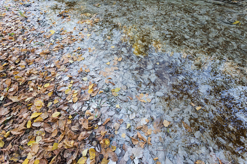 Water pollution, dump water heavily polluting water spring