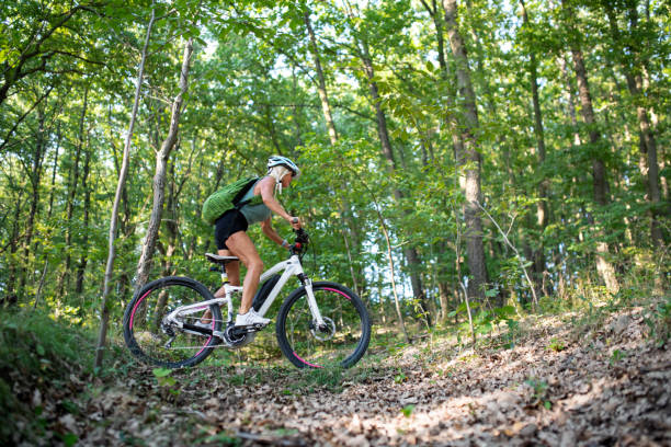 istock Low angle view of active senior woman biker cycling outdoors in forest. 1349907019