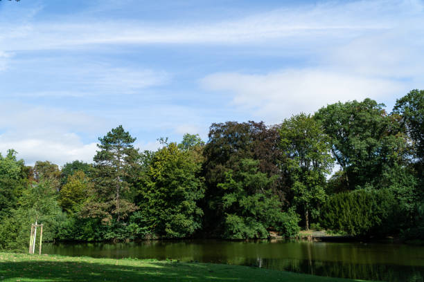 istock View to the lake shore with trees and blue sky 1349907930