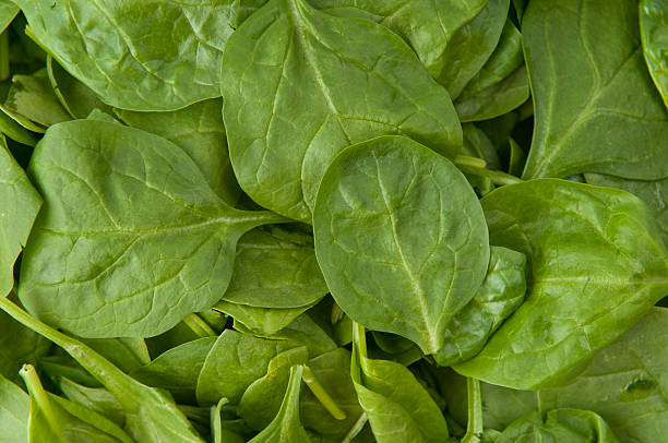 Spinach Background stock photo
