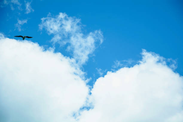 istock Beautiful blue bright skies with big clouds 1349910260