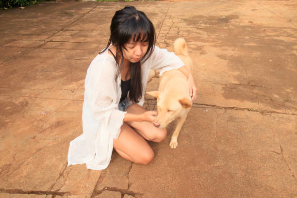 High angle view of an asian girl petting her dog