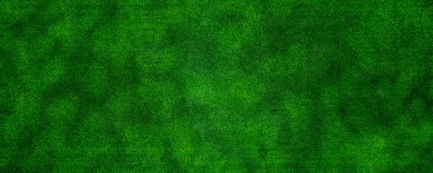 istock Panorama green artificial grass texture background for decorating the interior or exterior of the garden at home. 1349921743