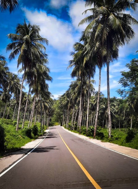 istock the road to likupang beach 1349924257