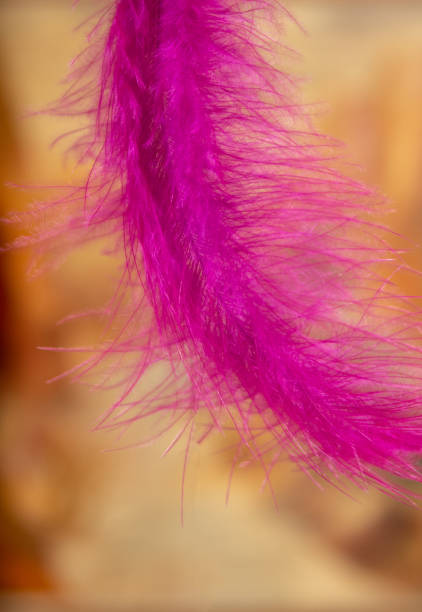 istock Falling feather on an autumn background.