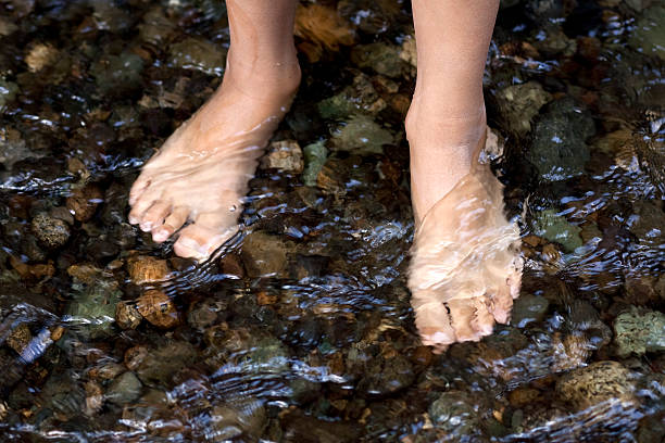 istock White feet standing on stones in a shallow stream 134993443
