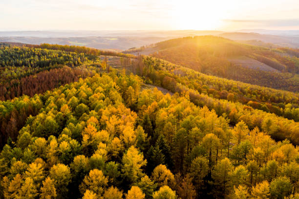 istock an  evening sun autumn landscape 1349940413
