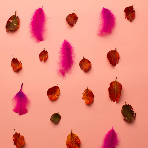istock Falling leaves and feathers. Minimal concept with autumn elements on a pastel pink background. 1349945405