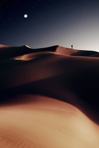 night desert - sahara desert imagens e fotografias de stock