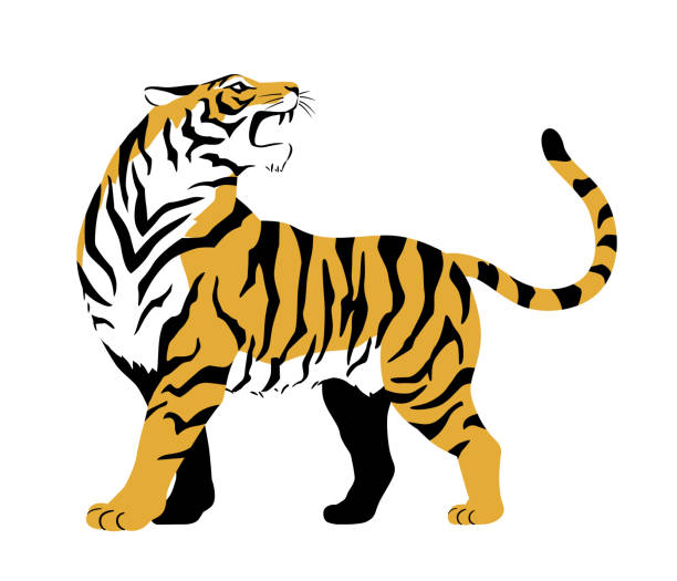 stockillustraties, clipart, cartoons en iconen met barking tiger illustration vector material - tiger