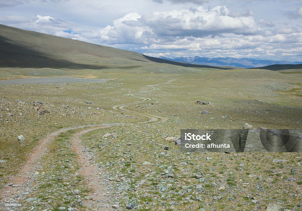 La route dans le désert - Photo de Bord de route libre de droits