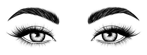 нарисованные от руки женские глаза. привлекательные женские глаза. черно-белый эскиз. - women human face sensuality human eye stock illustrations