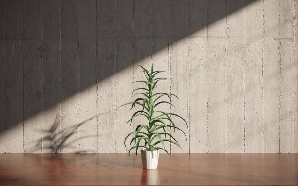 istock Decorative flowers in a vase on the table. 3D illustration, cg render 1349960215