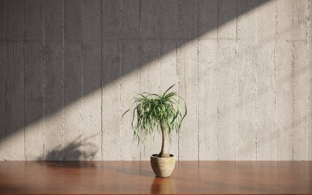 istock Decorative flowers in a vase on the table. 3D illustration, cg render 1349960249