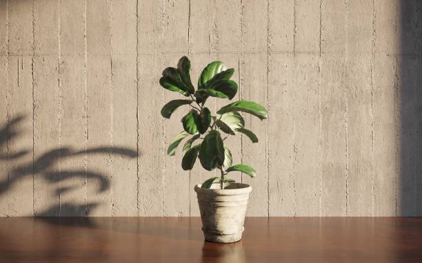 istock Decorative flowers in a vase on the table. 3D illustration, cg render 1349960363