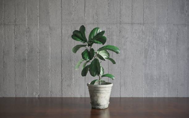 istock Decorative flowers in a vase on the table. 3D illustration, cg render 1349960364