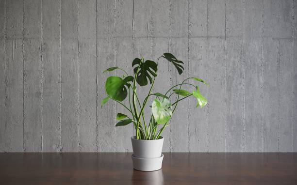 istock Decorative flowers in a vase on the table. 3D illustration, cg render 1349960431