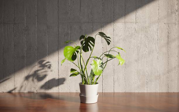 istock Decorative flowers in a vase on the table. 3D illustration, cg render 1349960432