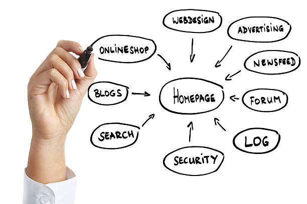 istock Business hand drawing website diagram 134996113