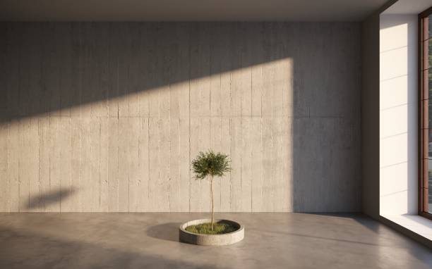 istock green decorative tree growing in a cement pots on gray wall background. 3D illustration, cg render 1349961235