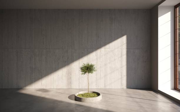 istock green decorative tree growing in a cement pots on gray wall background. 3D illustration, cg render 1349961757