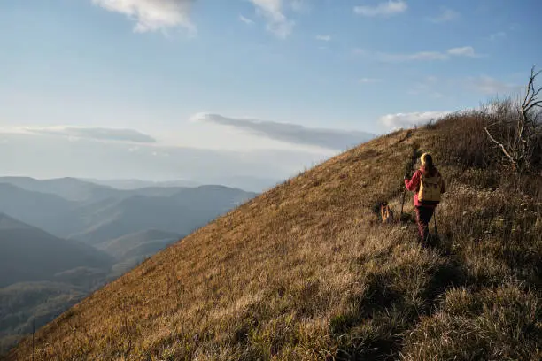 Photo of German Shepherd travels with owner. Female traveler walks along narrow path at top of mountain with her dog. Trekking route in national park.