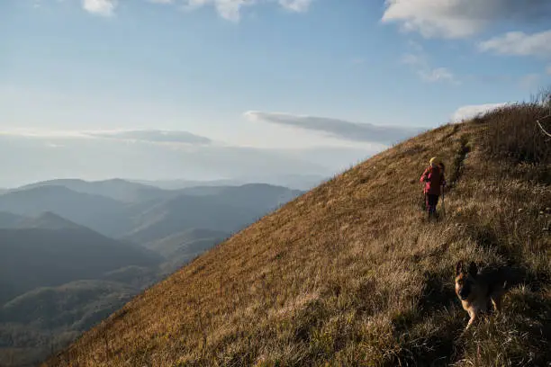 Photo of Trekking route in national park. Walk above clouds with backpack and sticks. Female traveler walks along narrow path on top of mountain among tall yellow dry grass.